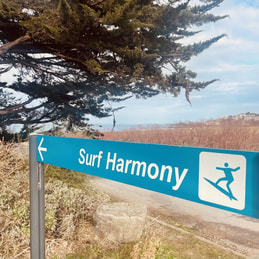 your way to surf harmony, walking, by car, bicycle, train and plane.