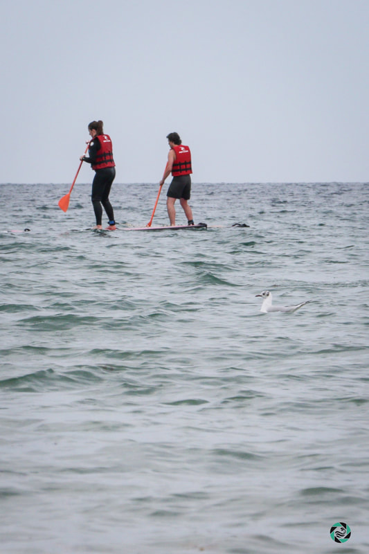 Go for a stand-up paddle ride on Longchamp beach between Saint-Briac and Saint-Lunaire.
